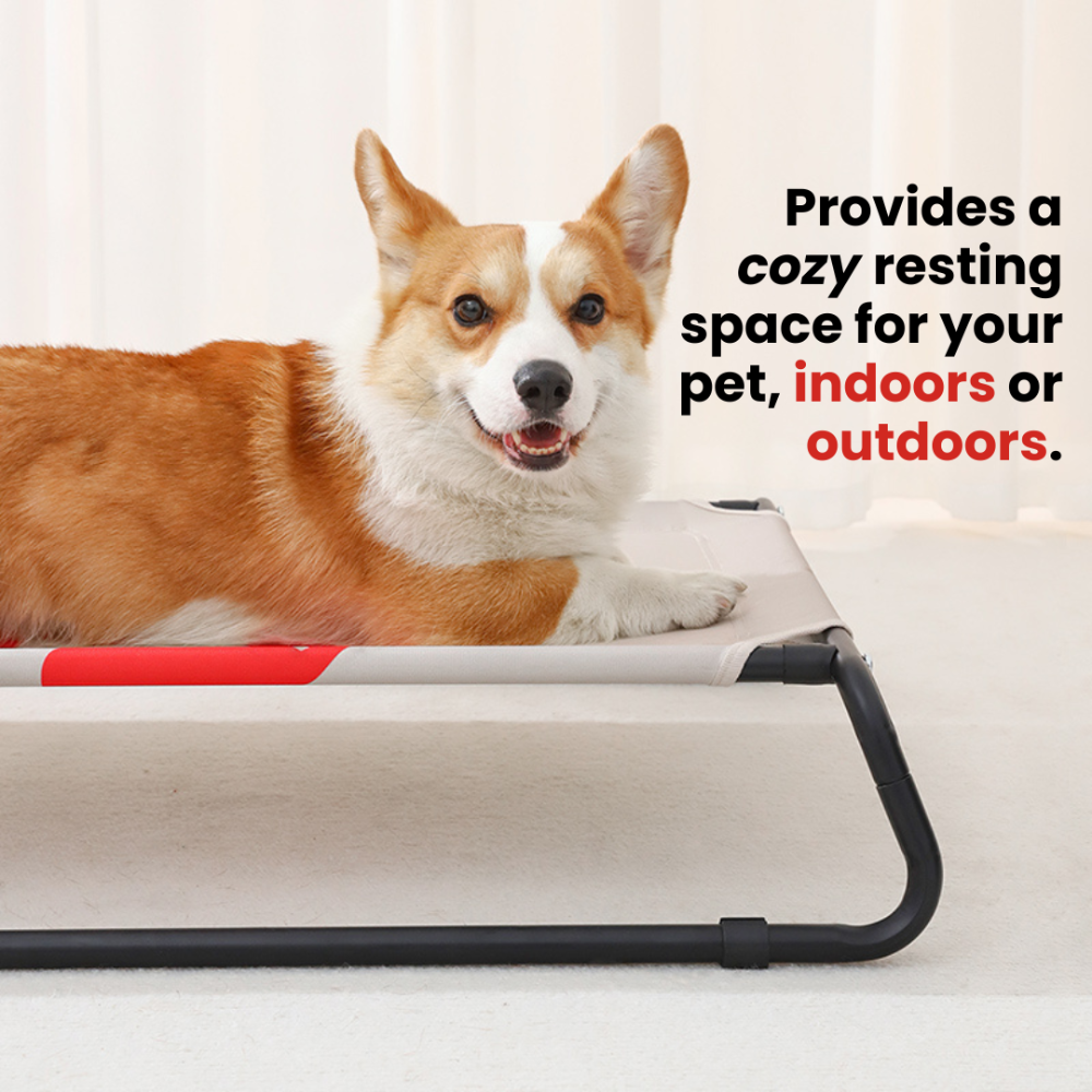 PawGo Travel Cot