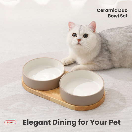 Ceramic Duo Bowl Set
