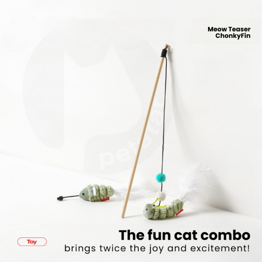 Meow Teaser ChonkyFin